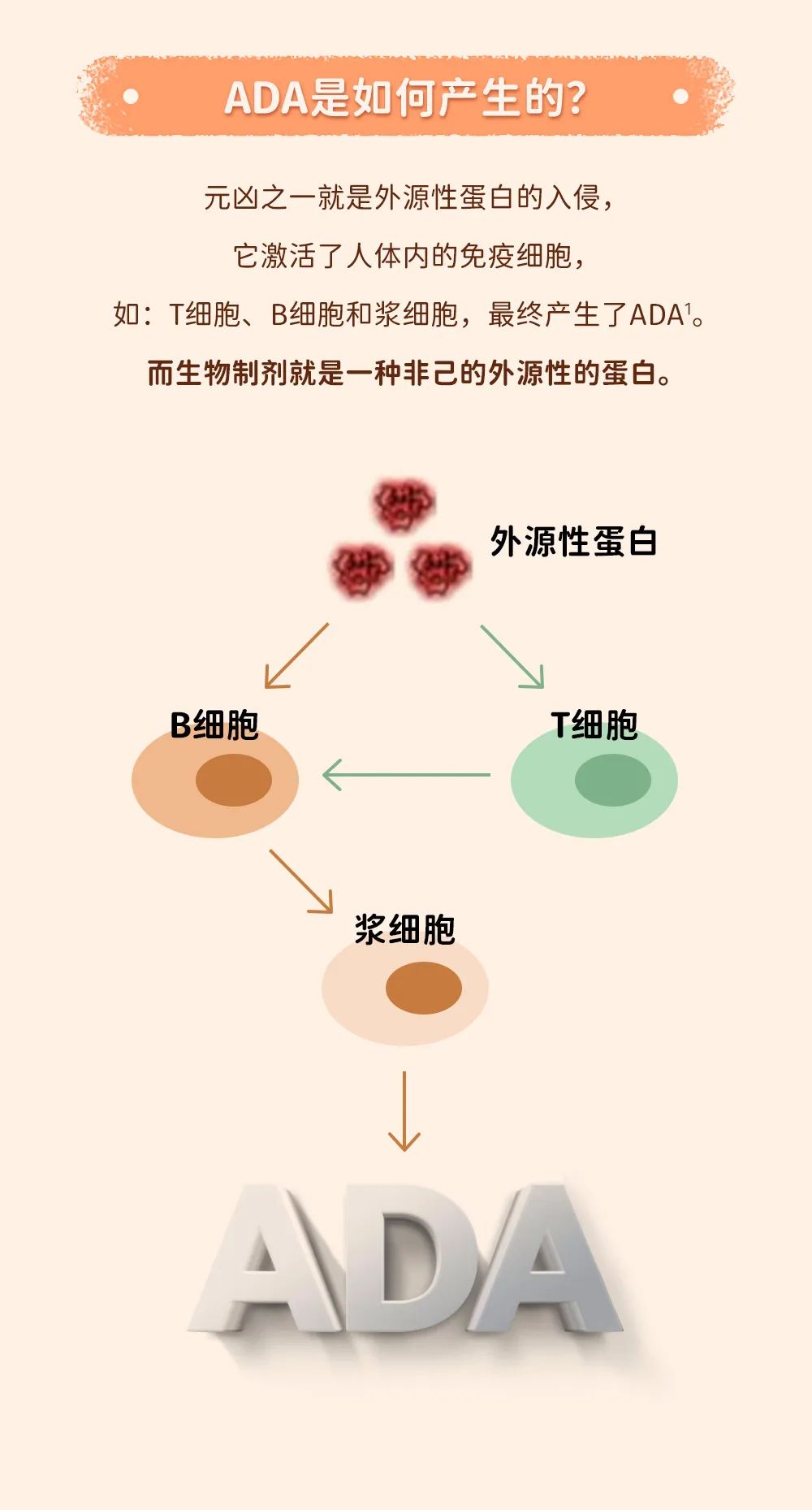 新生常谈｜当生物制剂出现疗效衰减时，可能是因为它…