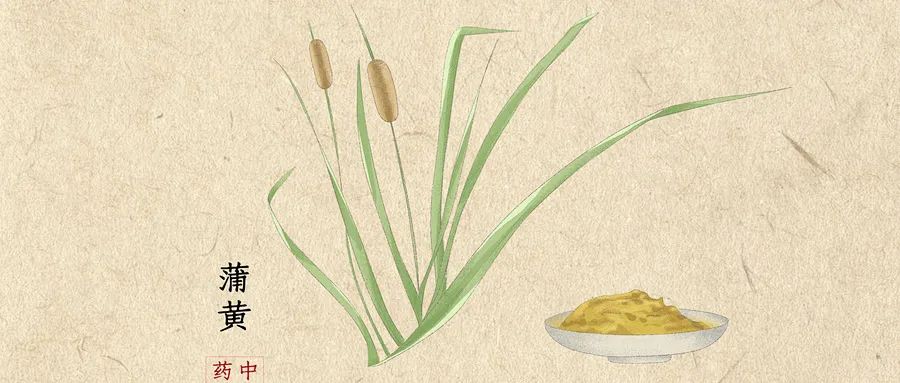 哪些花儿可以用于治疗银屑病