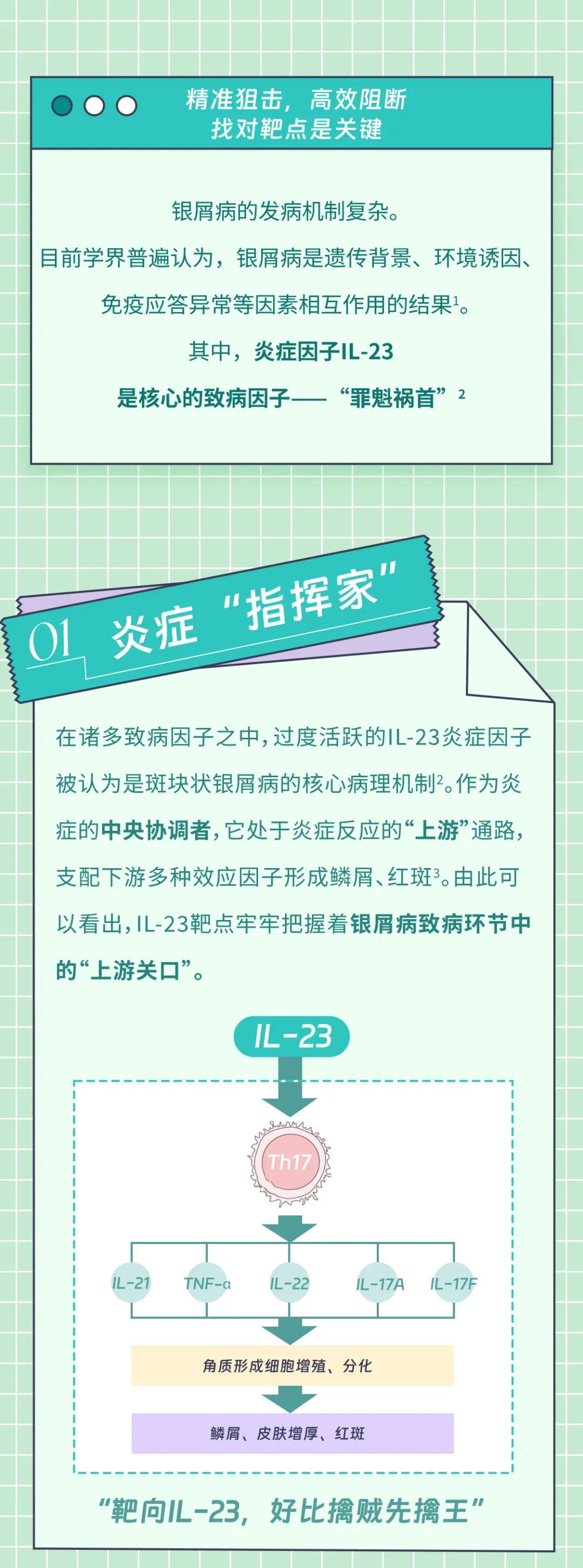 IL-23靶点大揭秘！