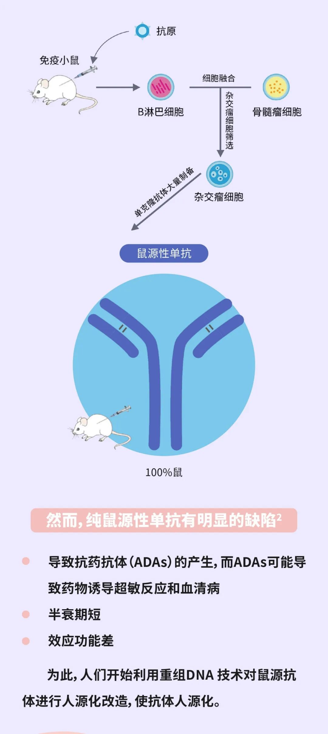 从低配到高配，单克隆抗体的武器升级之路