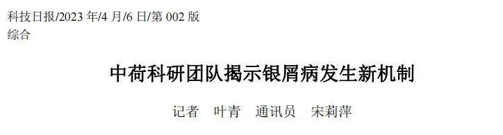 中荷团队合作揭示新机制,推动银屑病治疗新进展