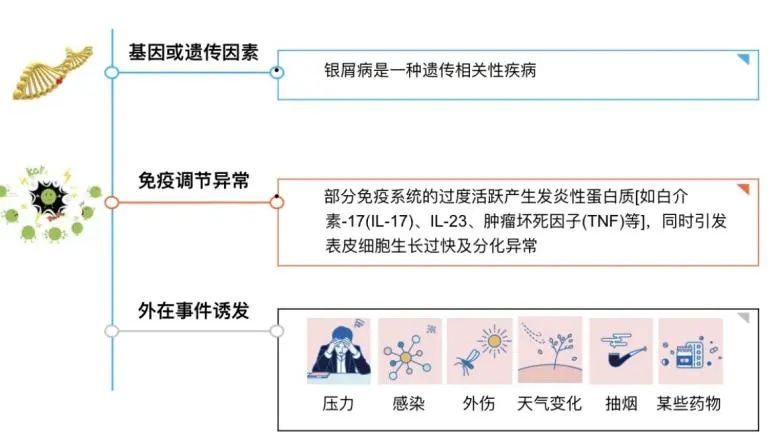 银屑病的相关知识，您真的了解吗？